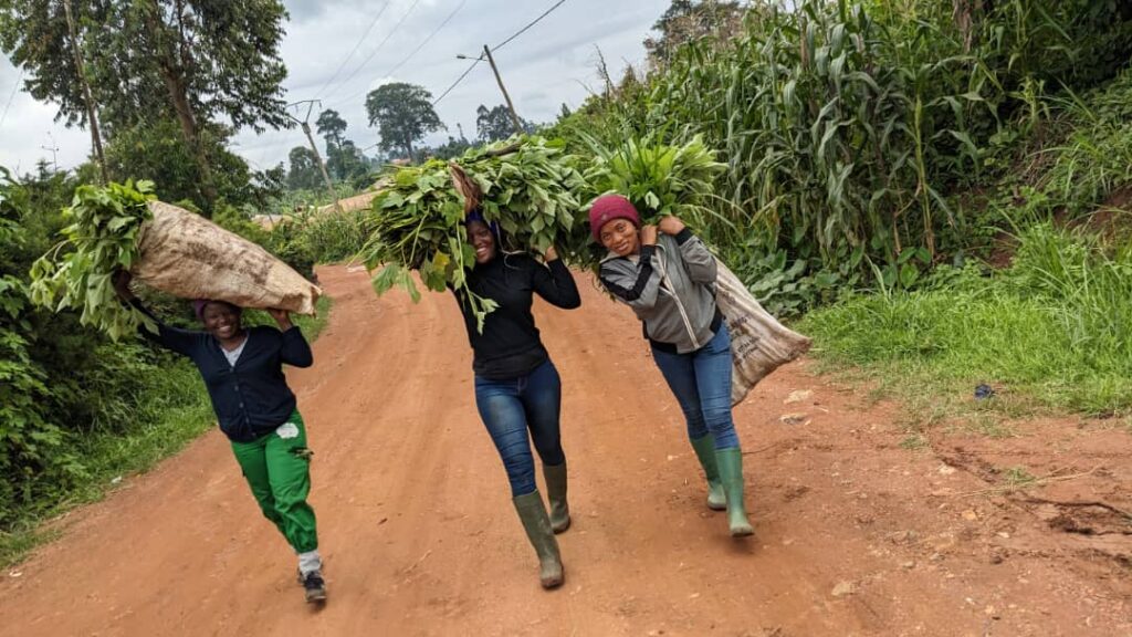 Heirloom Harvest Volunteers
