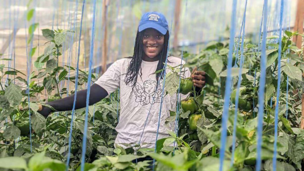 Transforming Aquaculture and Agriculture: The Heirloom Harvest Journey